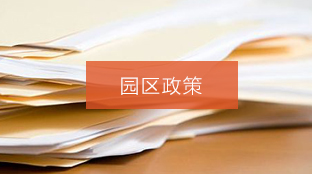 园区政策